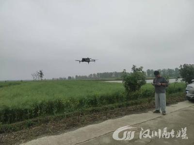 科技+务实 回龙镇筑牢禁种铲毒硬防线