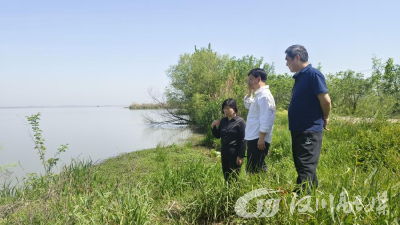 《汈汊湖》该怎么写？两位八旬老干部现场“把脉开方”