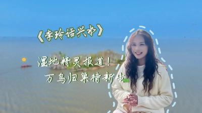 视频 | 【李玲话兴水】湿地精灵报到！万鸟归巢待新生