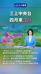 视频 | 三上中央台 农文旅消费热 世界看见活力汉川