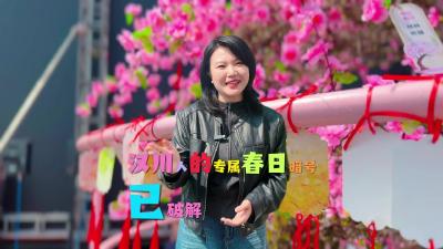 视频 | 【张彤探美城】报告！汉川人的专属春日暗号 已破解