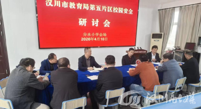 市教育局第五片区督查组赴分水小学检查校园安全