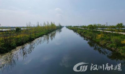 刘家隔镇：植绿、修路、治水，乡村一步一景