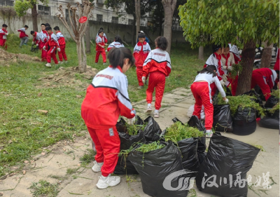 汉川市实验小学 用AI为野草“正名”