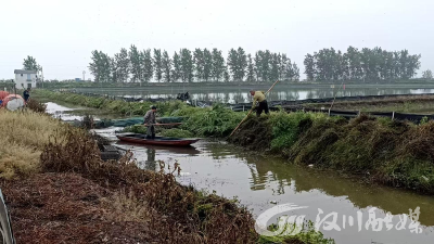 沉湖镇石剅村：清渠护堤 筑牢防汛排涝安全防线