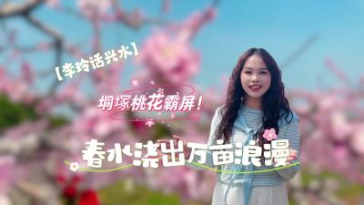 视频 | 【李玲话兴水】垌塚桃花霸屏！春水浇出万亩浪漫