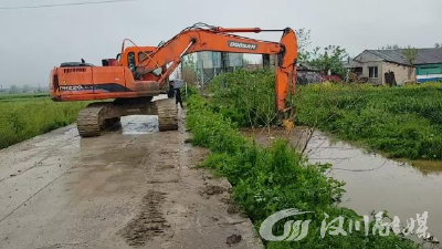 闻“风”而动，向“雨”而行——庙头镇多措并举织密防汛减灾“安全网”