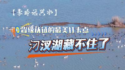 视频 | 【李玲话兴水】省级认证的最美打卡点，汈汊湖藏不住了！