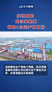 视频 | 技改赋能 武汉英妮蔓锚定1亿元产值目标