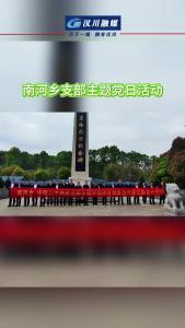 视频 | 南河乡开展支部主题党日暨清明祭扫活动
