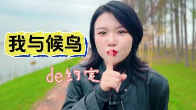 视频 | 【张彤探美城】我与候鸟的约定