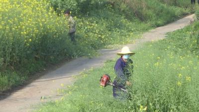 【视频】18.35公里地毯式清理！汉江干堤沉湖段“清四乱”除隐患