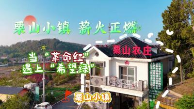 视频 | 张彤探美城：栗山小镇 薪火正燃 当“革命红”遇上“希望绿”