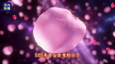 视频 | 智汇汉川 衣领天下：520以爱为名 盛启产业新篇章