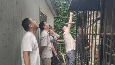 北桥社区：多方联动解民忧，高空作业显担当