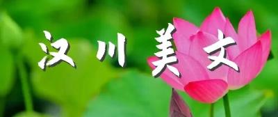 美文 | 怀德堡的传奇