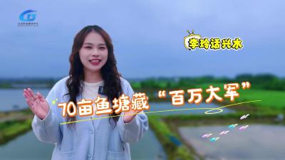 视频 | 【李玲话兴水】70亩鱼塘藏“百万大军”