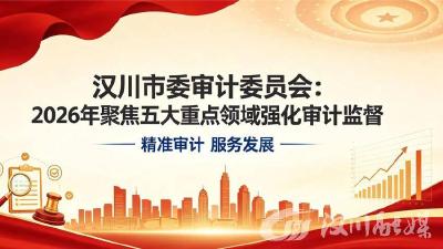 汉川市委审计委员会：2026年聚焦五大重点领域强化审计监督