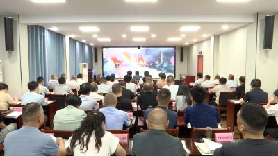 【视频】汉川市组织收听收看孝感市安全隐患排查整治行动推进会暨未成年人防溺水、“安全生产月”活动部署会议