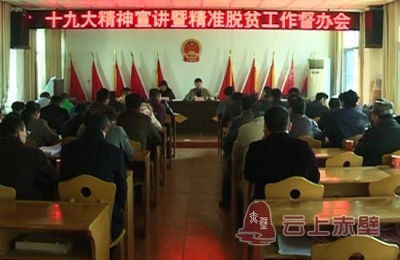 市领导到车埠镇宣讲党的十九大精神