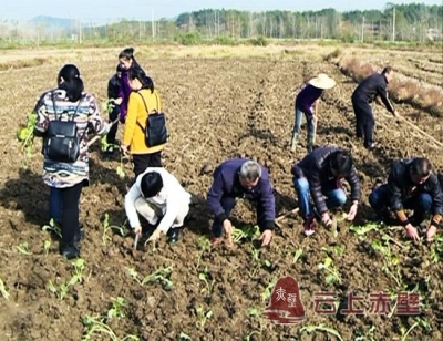 赤壁农业开展青年团日助农活动