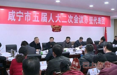 聚焦咸宁两会：咸宁市领导参加赤壁市代表团审议咸宁市人大常委会工作报告