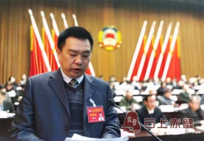 做好茶产业“+”字文章 两会代表、委员为咸宁茶业建言献策 
