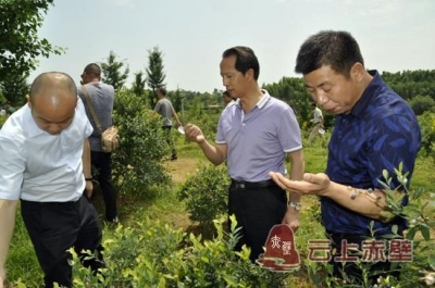 李满林到余家桥乡视察乡村振兴战略实施情况