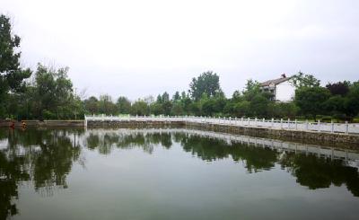 推进乡村振兴步伐全面提速