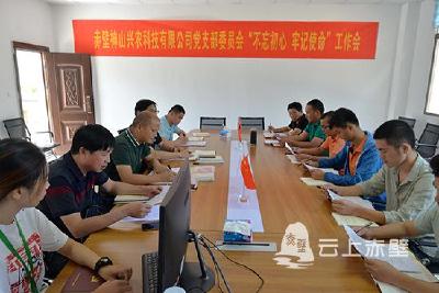 赤壁：党建指导员下企业  助推主题教育落地落实