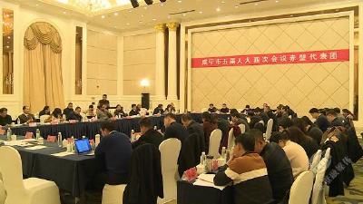 【聚焦咸宁两会】人大代表热议咸宁市政府工作报告