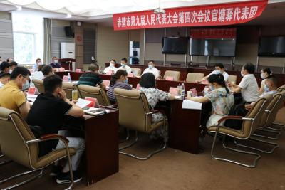 【两会动态】董方平参加官塘驿镇代表团审议