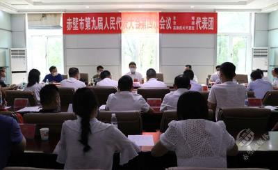 【两会动态】董方平参加车埠、沧湖、高新区代表团审议