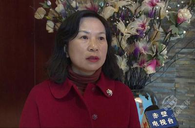 【聚焦咸宁两会】  来自赤壁的政协委员热议大会讲话和报告