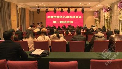 【两会声音】政协九届五次会议联组讨论《政府工作报告》  