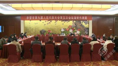 【两会动态】董方平参加分组审议