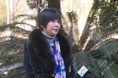 【两会声音】人大代表热议政府工作报告