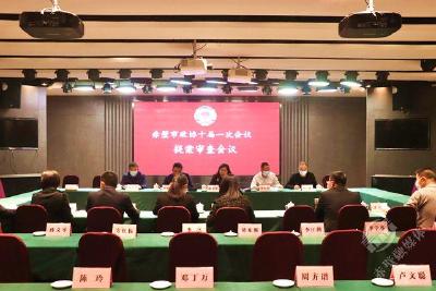 【两会动态】市政协十届一次会议提案审查委员会举行提案审查会议