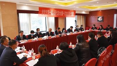 【两会动态】人大代表分组审议政府工作报告 董方平 葛军等市领导参加