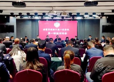 【两会动态】市政协十届一次会议开展联组讨论 董方平、葛军等市领导参加