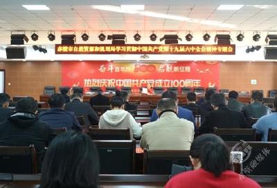 赤壁市自然资源和规划局专题学习贯彻党的十九届六中全会精神