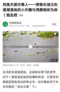 文明单位风采(3) | 陆水湖国家湿地公园：文明城市建设中的“生态文明驿站”  