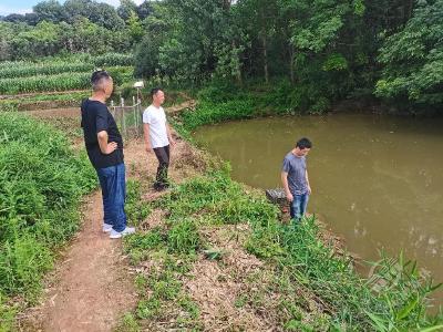 文明单位风采(53) | 市政务服务和大数据管理局：巩固党史学习教育成果 深入基层为民办好实事