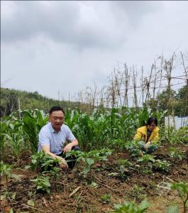 【先进典型】(9) “南鄂楷模”——刘弄璋：强化党建引领，提升善治水平，助推乡村振兴