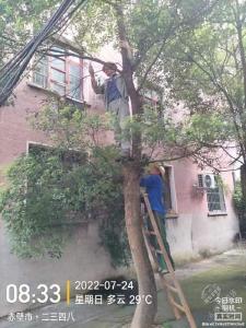 文明单位风采(67) | 市茶发集团：聚力环境整治，刷新社区“颜值”