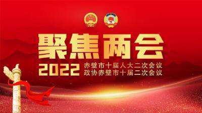 两会特别报道