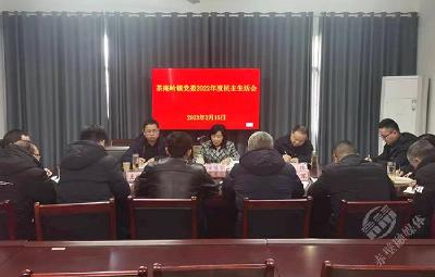宋慧宇参加指导茶庵岭镇党委2022年度民主生活会