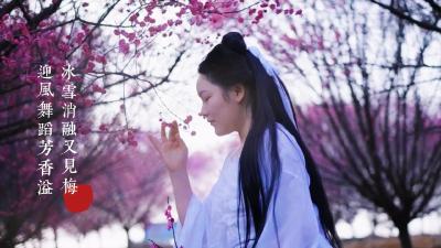 微视 | 赤壁神山镇：冰雪消融又见梅 迎风舞蹈芳香溢
