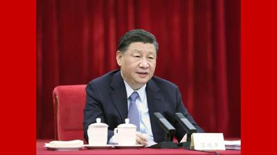 （两会受权发布）习近平在看望参加政协会议的民建工商联界委员时强调 正确引导民营经济健康发展高质量发展 王沪宁蔡奇丁薛祥参加看望和讨论
