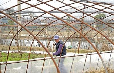 赤壁：水产养殖 助民增收